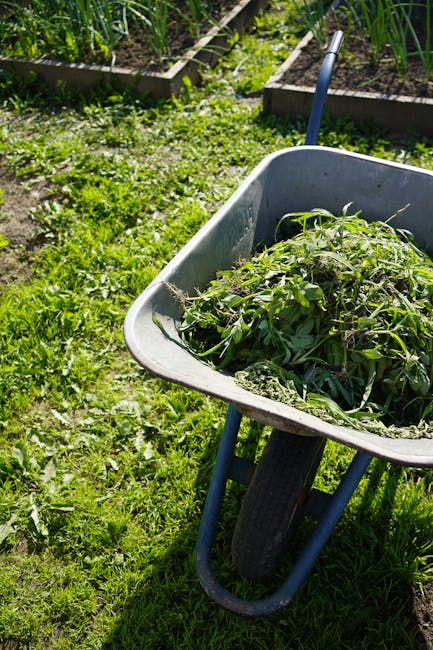 A close-up view of a light grey plastic wheelbarrow with a black rubber wheel, filled with freshly cut green garden waste, including grass, weeds, and small plants, set on a lush green lawn. In the ba